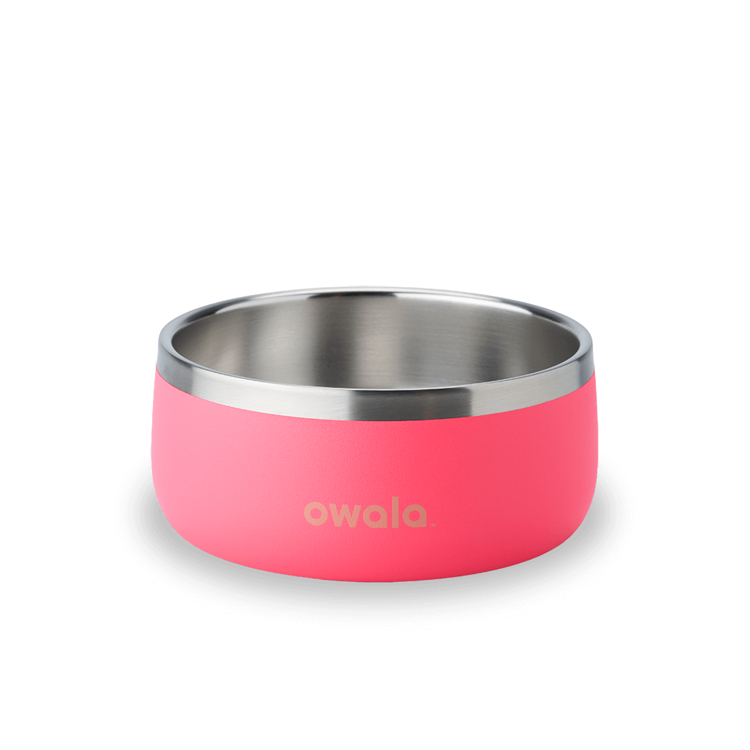 Pet Bowl